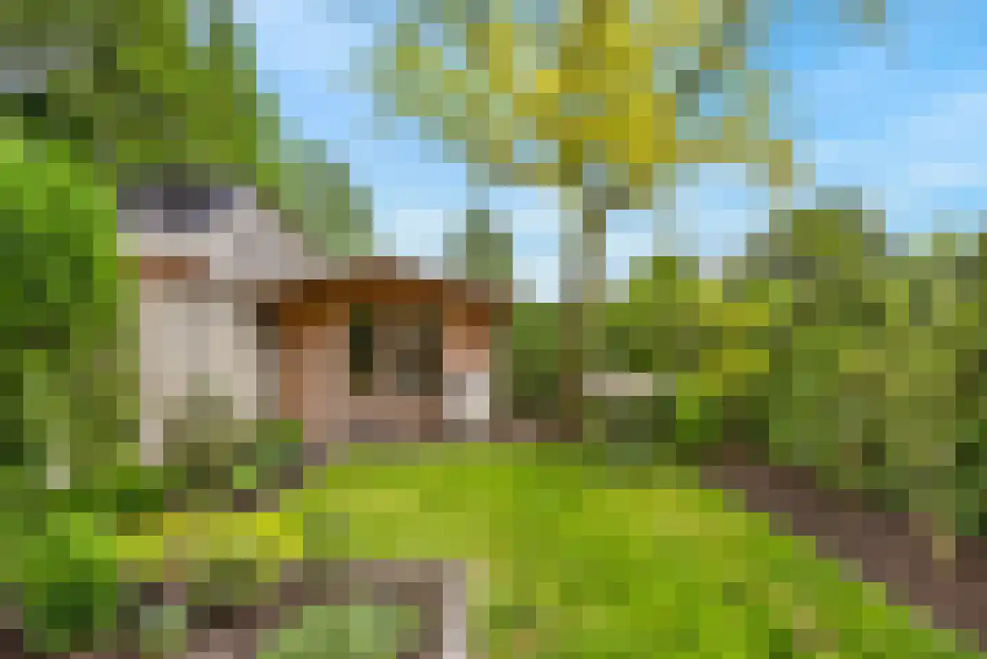 Mesdagstraat 18 Hengelo thumbnail 39