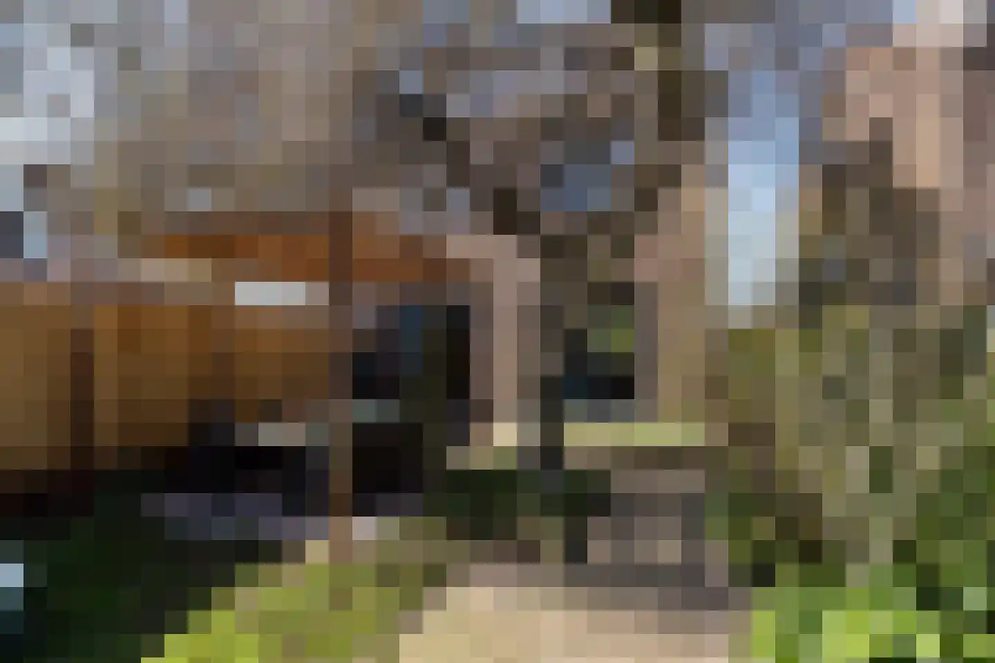 Mesdagstraat 18 Zwijndrecht thumbnail 27