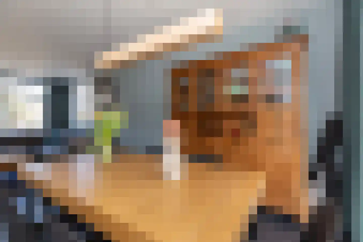 Mesdagstraat 18 Zwijndrecht thumbnail 8