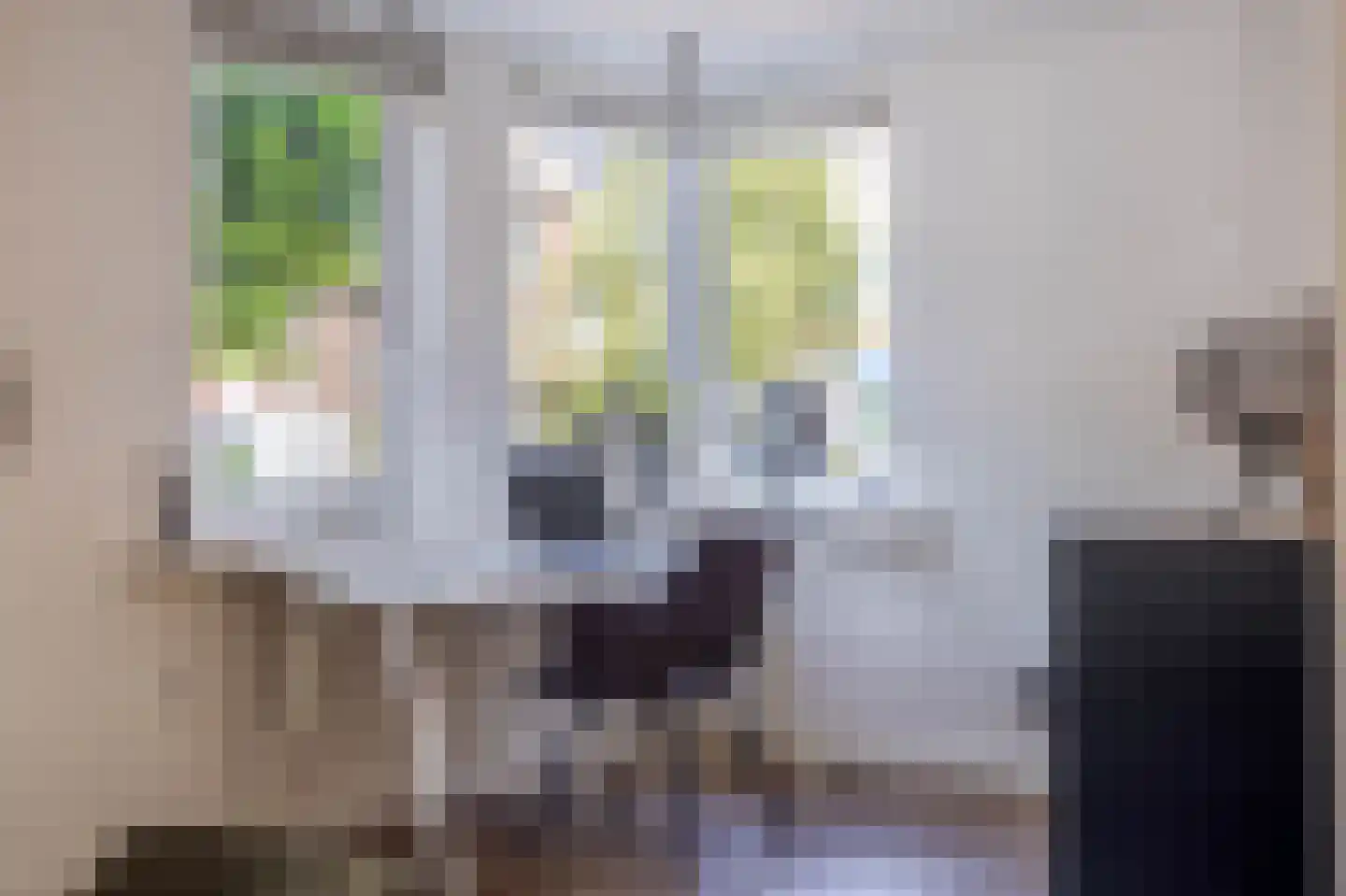 Mesdagstraat 2 B Lisse thumbnail 13