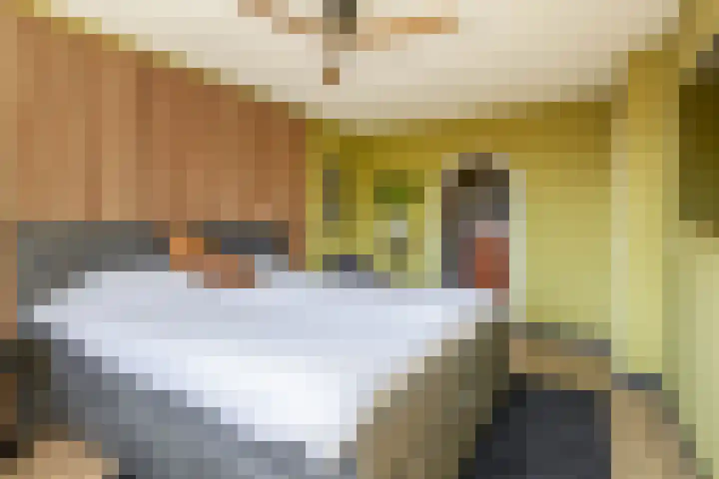 Mesdagstraat 2 B Lisse thumbnail 34