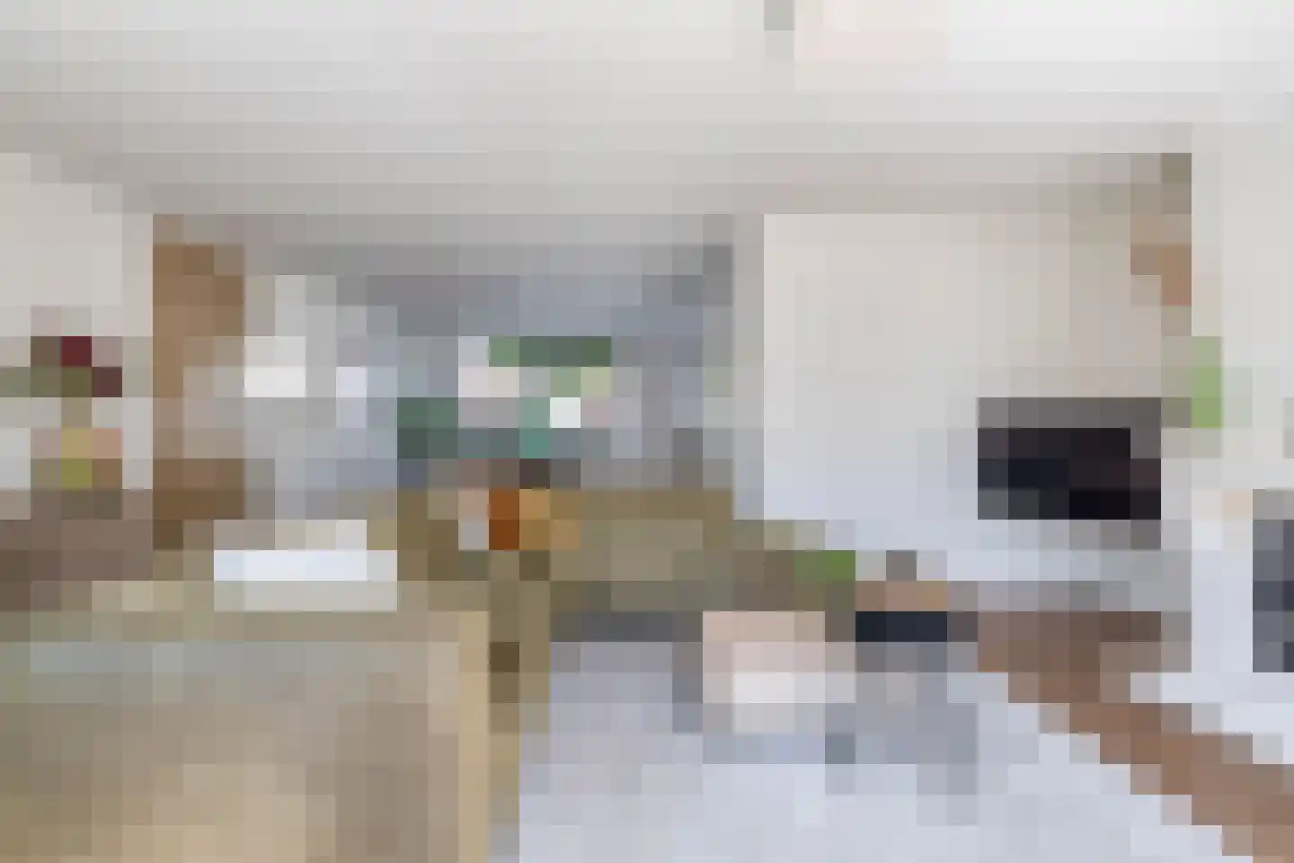 Mesdagstraat 2 B Lisse thumbnail 4