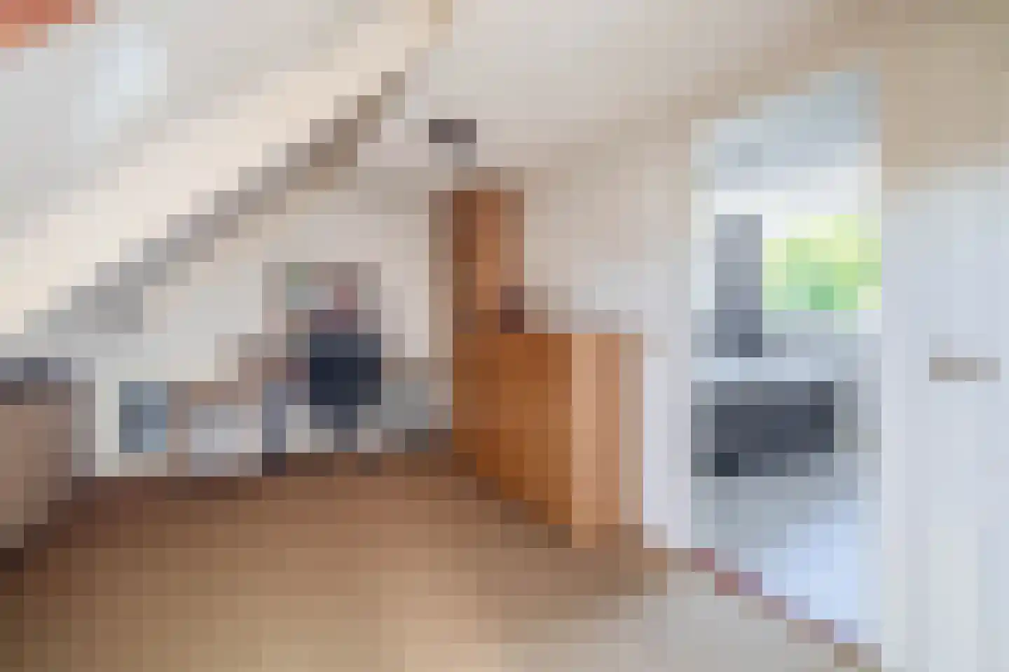 Mesdagstraat 2 B Lisse thumbnail 44