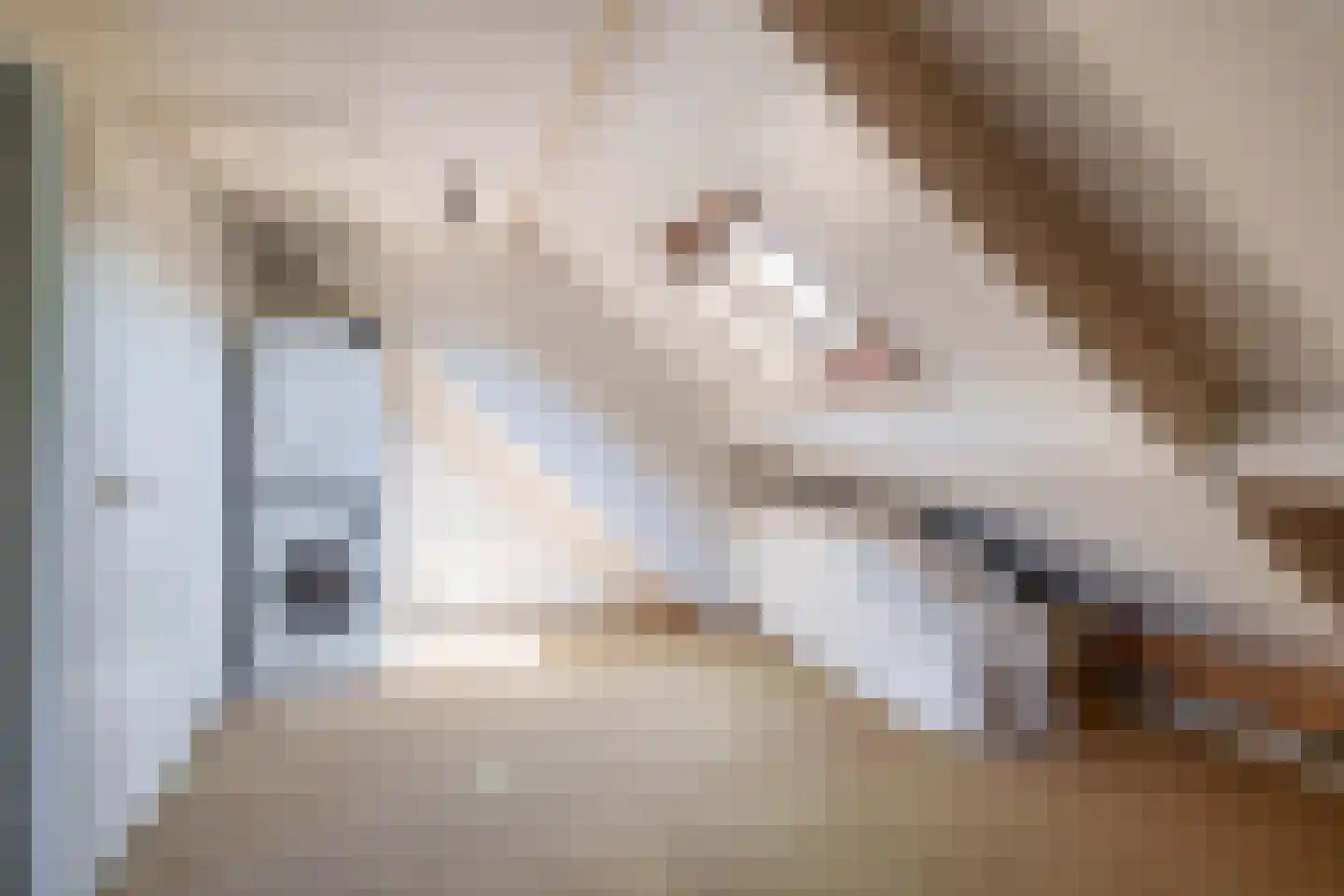 Mesdagstraat 2 B Lisse thumbnail 45