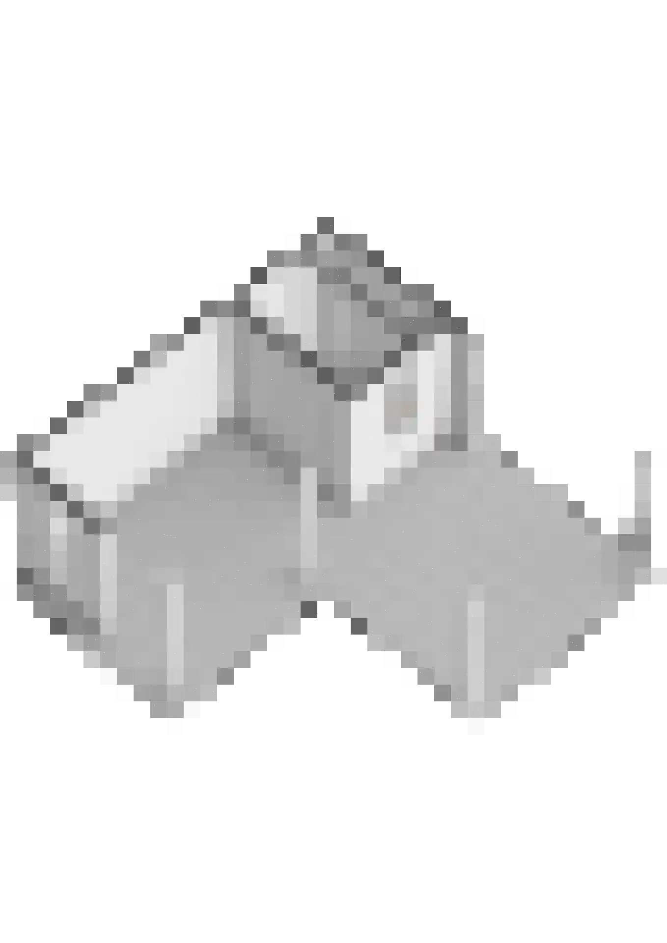 Mesdagstraat 2 B Lisse thumbnail 78