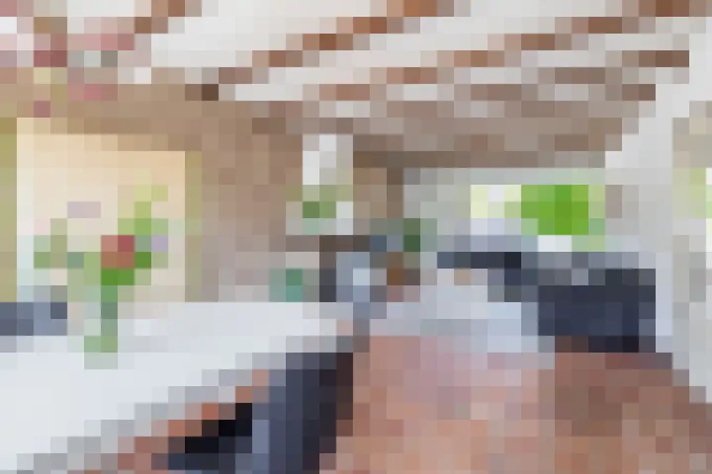 Mesdagstraat 2 Lisse thumbnail 13
