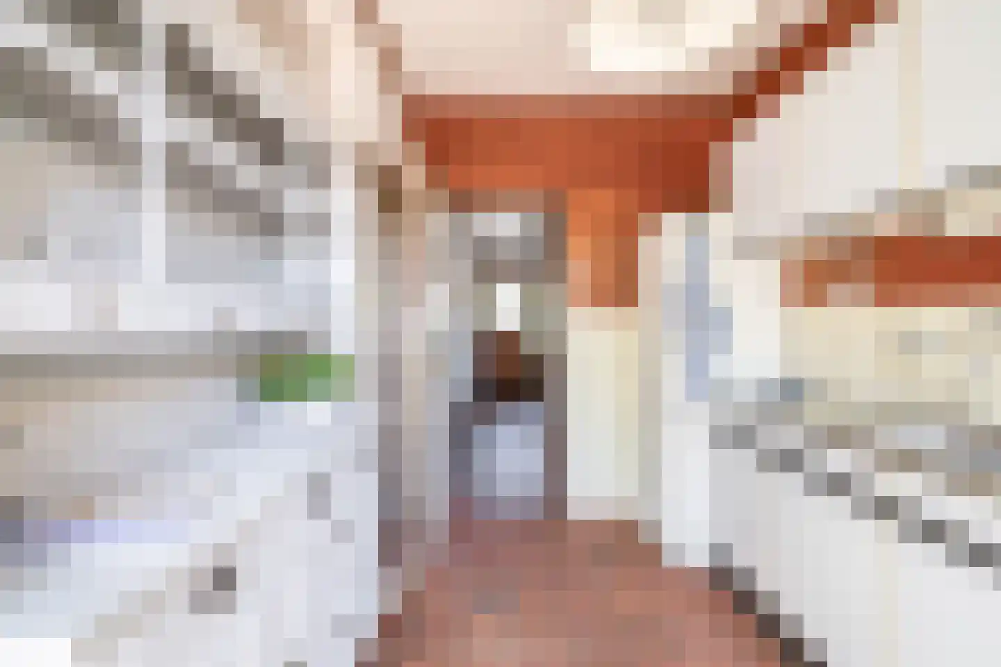 Mesdagstraat 2 Lisse thumbnail 15
