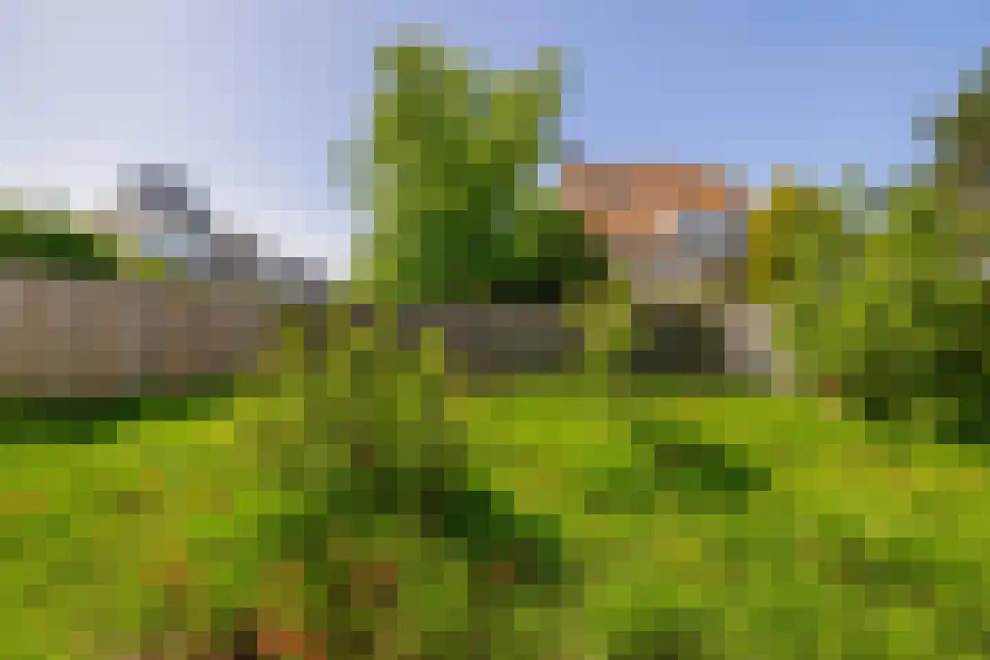 Mesdagstraat 2 Lisse thumbnail 23