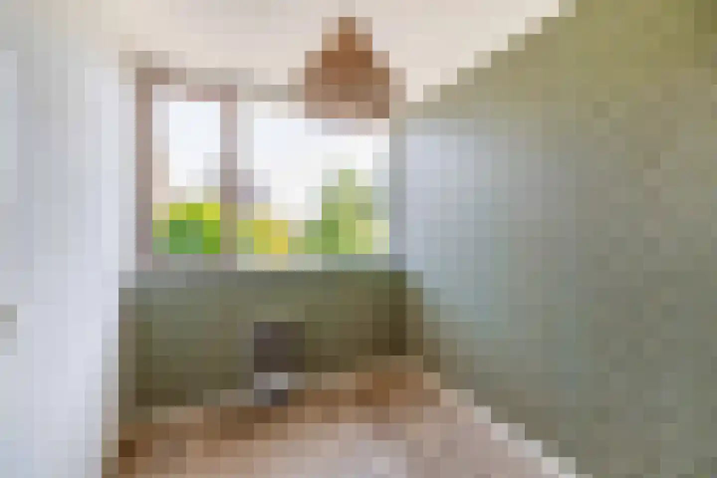 Mesdagstraat 2 Lisse thumbnail 37