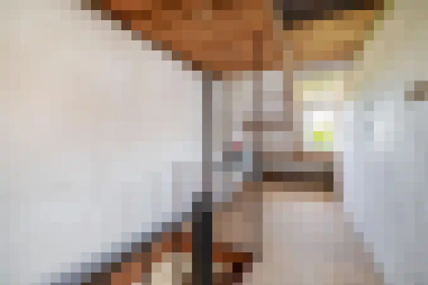 Mesdagstraat 2 Lisse thumbnail 39