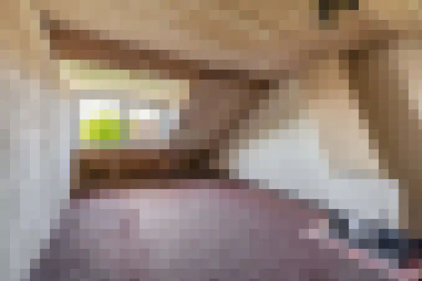 Mesdagstraat 2 Lisse thumbnail 40