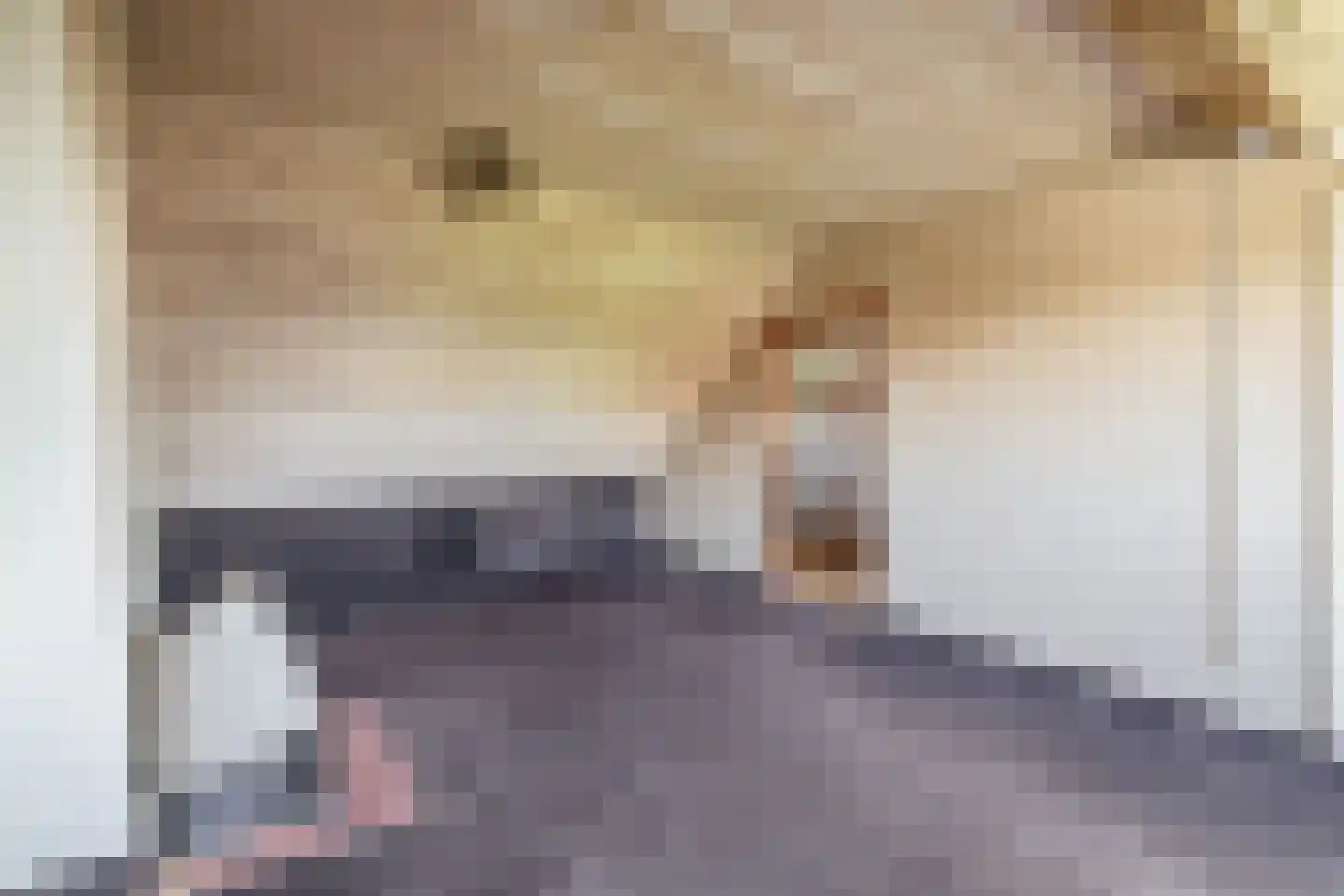 Mesdagstraat 2 Lisse thumbnail 41