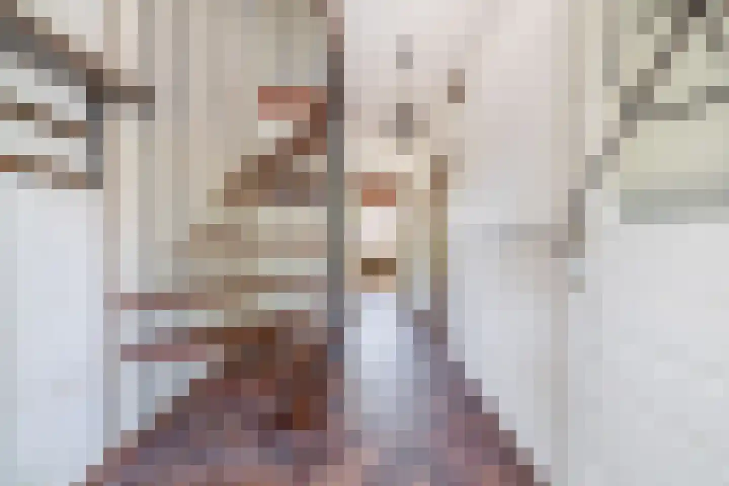 Mesdagstraat 2 Lisse thumbnail 5