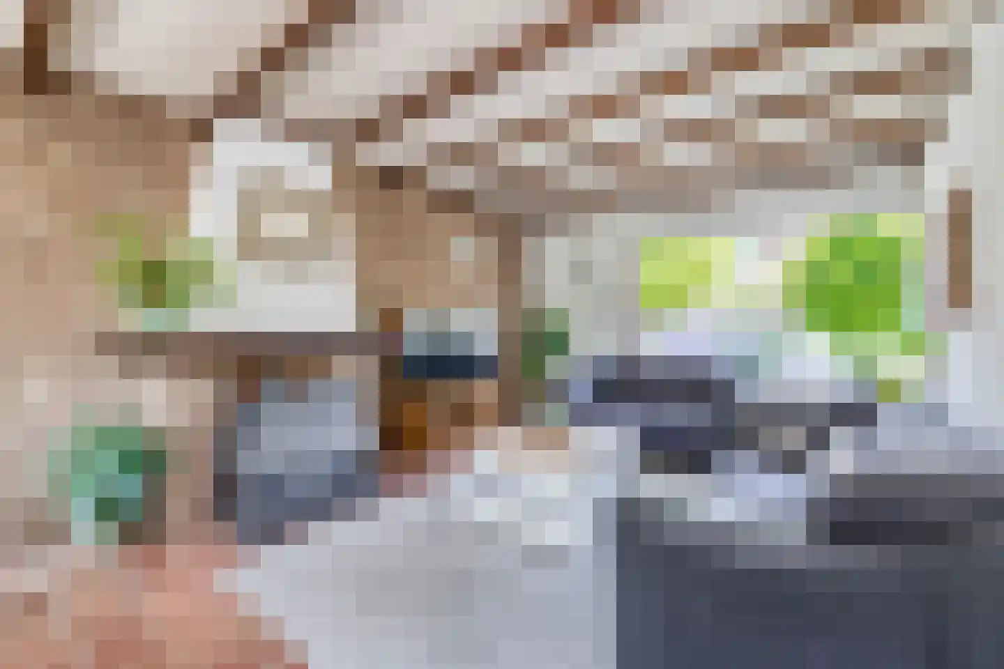 Mesdagstraat 2 Lisse thumbnail 9