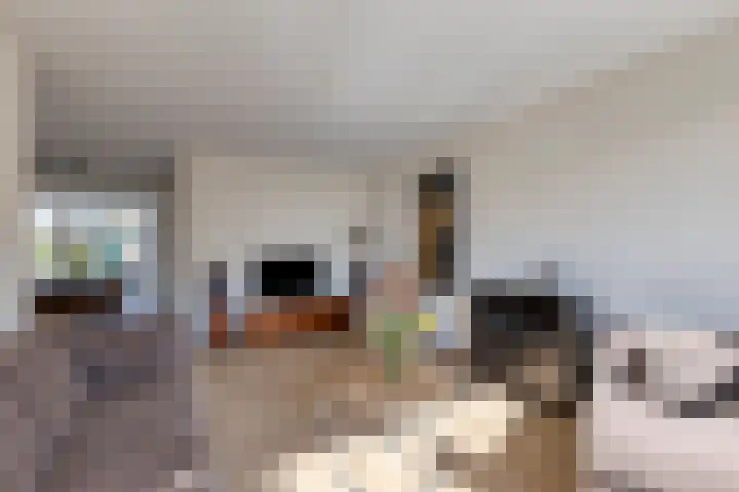 Mesdagstraat 2 Oud-Beijerland thumbnail 10