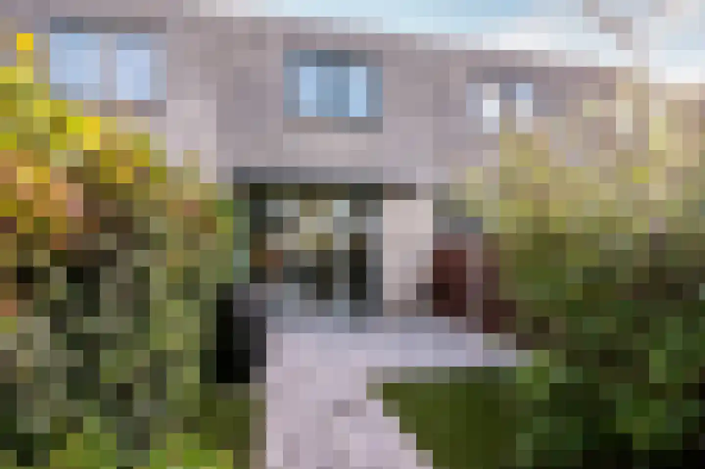 Mesdagstraat 20 Almere thumbnail 27