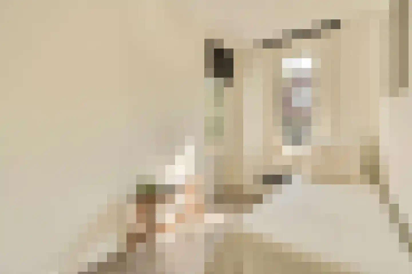 Mesdagstraat 21 2 Amsterdam thumbnail 11