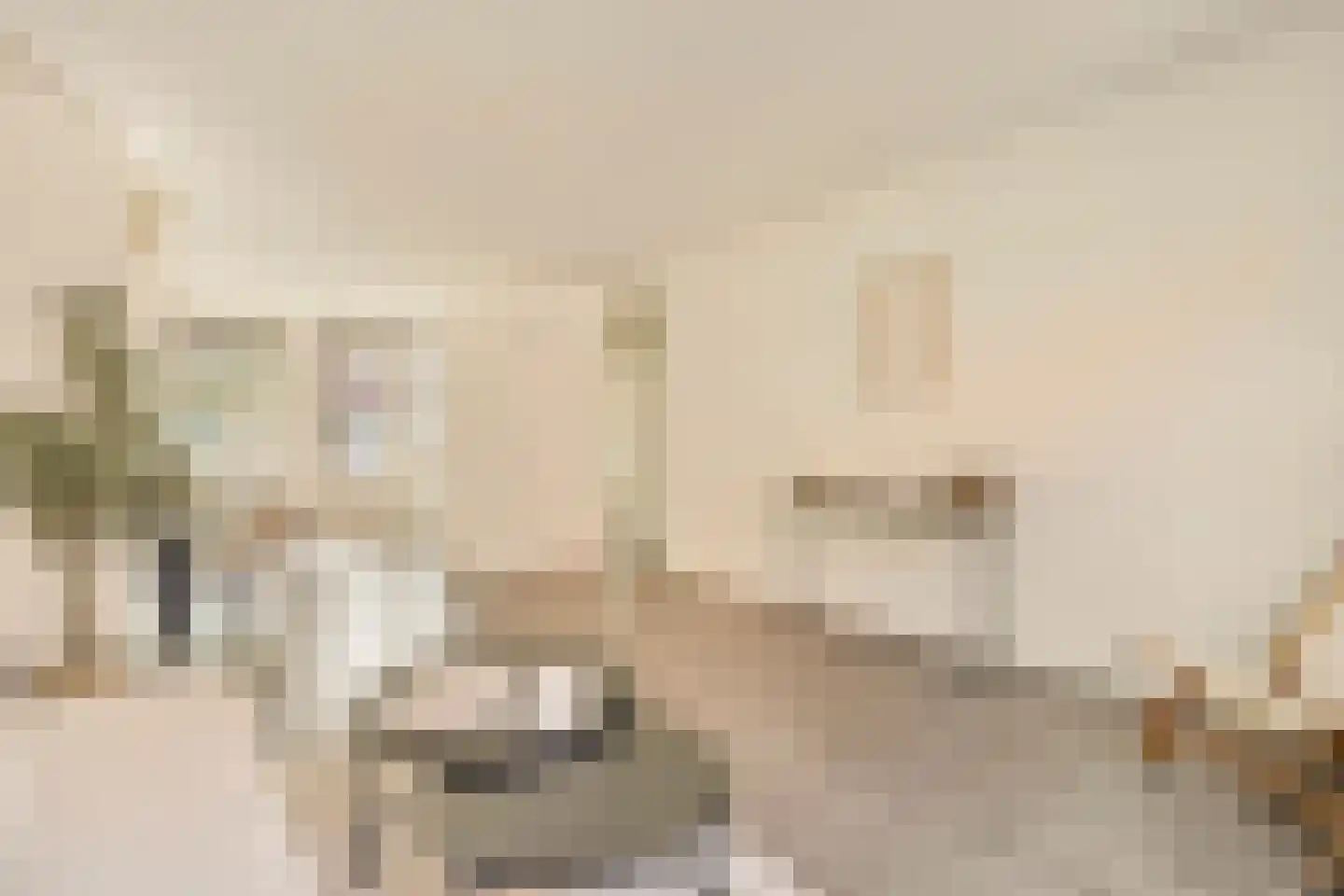 Mesdagstraat 21 2 Amsterdam thumbnail 4