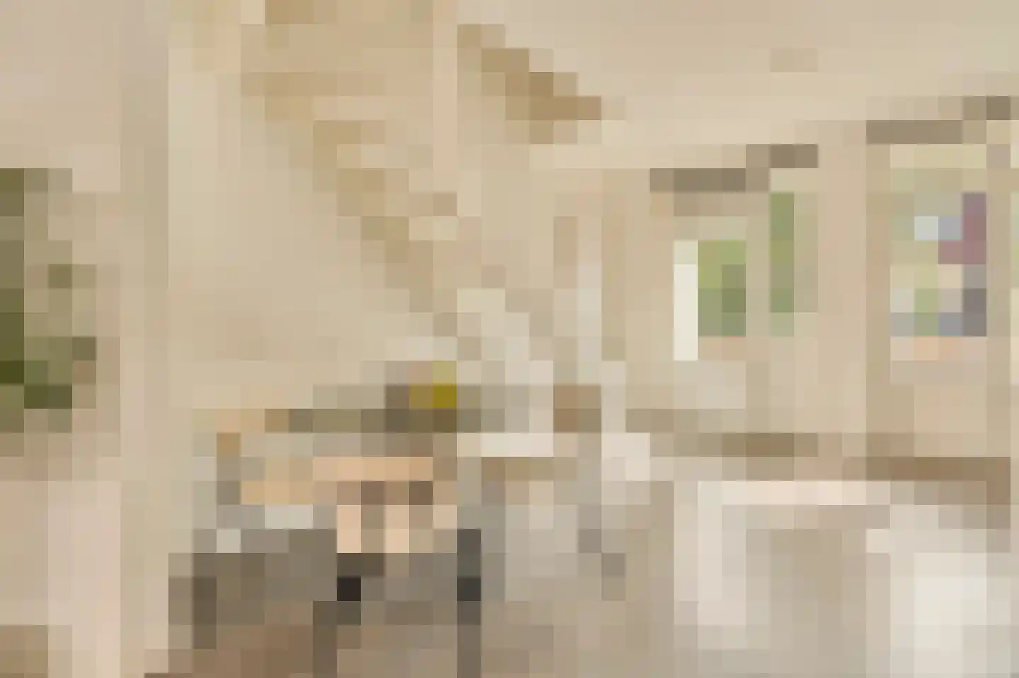 Mesdagstraat 21 2 Amsterdam thumbnail 6