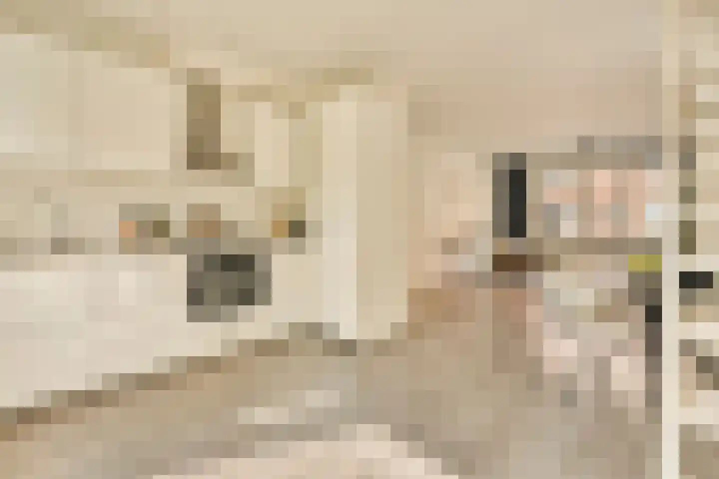 Mesdagstraat 21 2 Amsterdam thumbnail 7