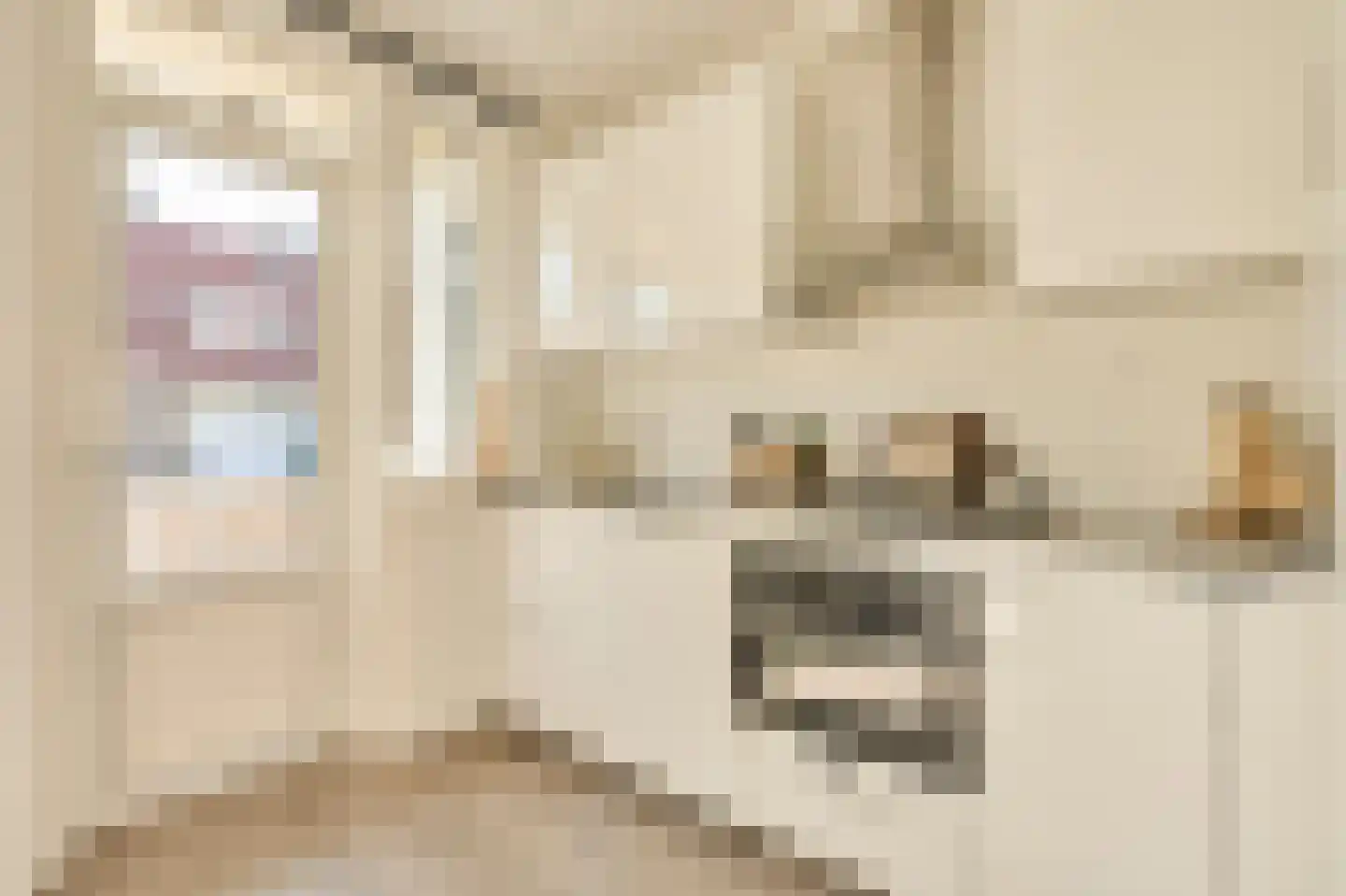 Mesdagstraat 21 2 Amsterdam thumbnail 9