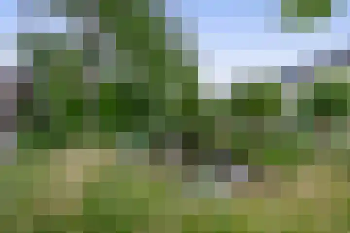 Mesdagstraat 22 Lisse thumbnail 37