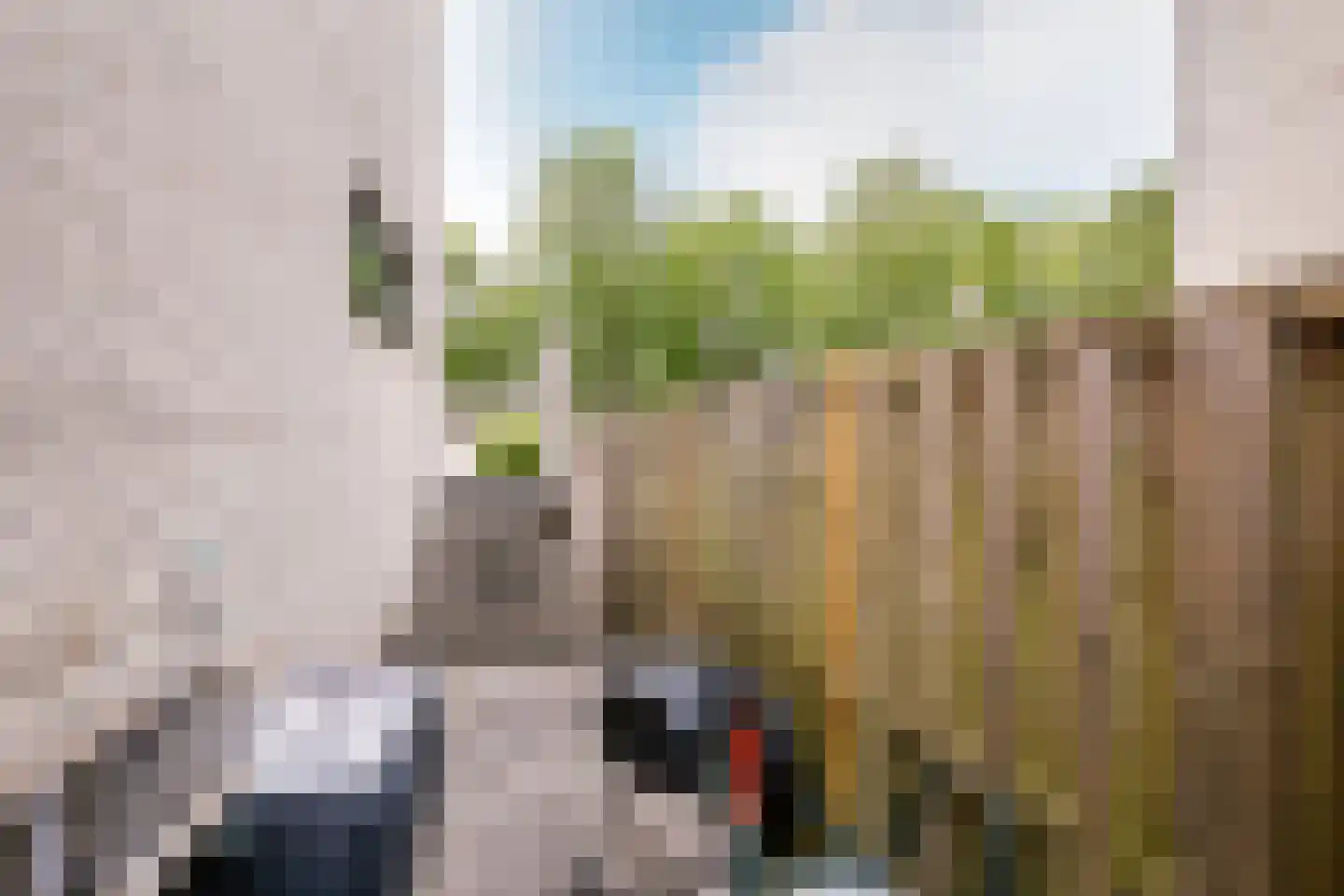 Mesdagstraat 24 Almere thumbnail 32