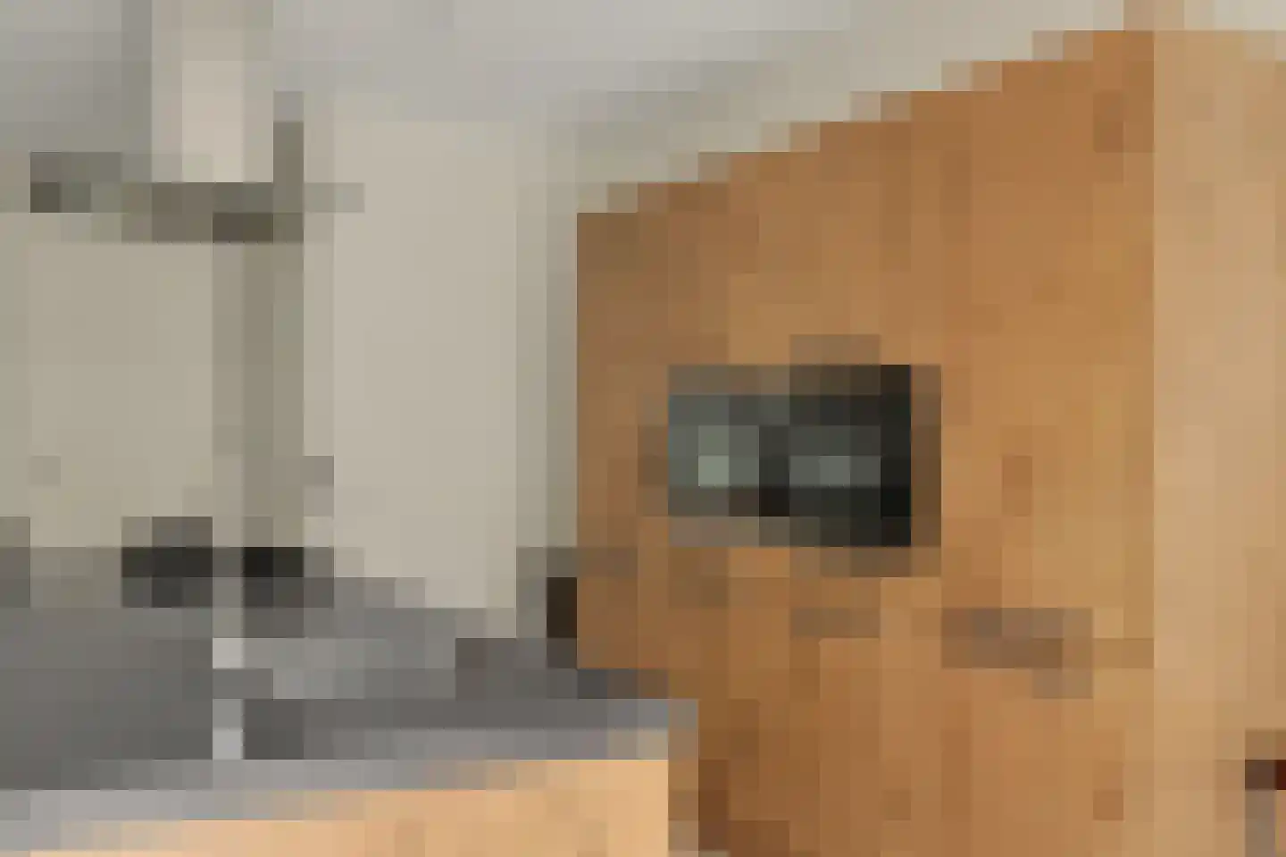 Mesdagstraat 24 Reeuwijk thumbnail 22