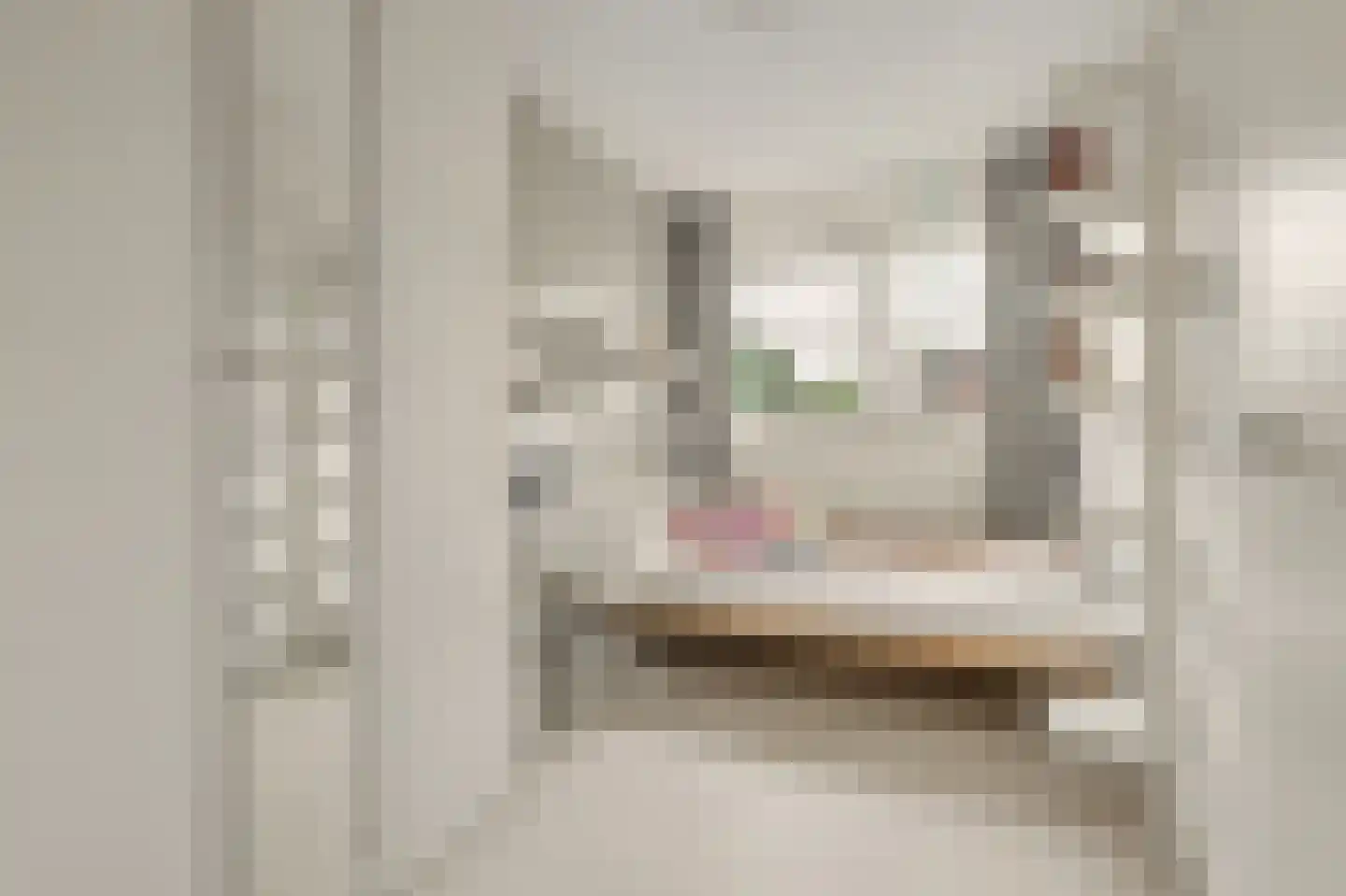 Mesdagstraat 24 Reeuwijk thumbnail 28