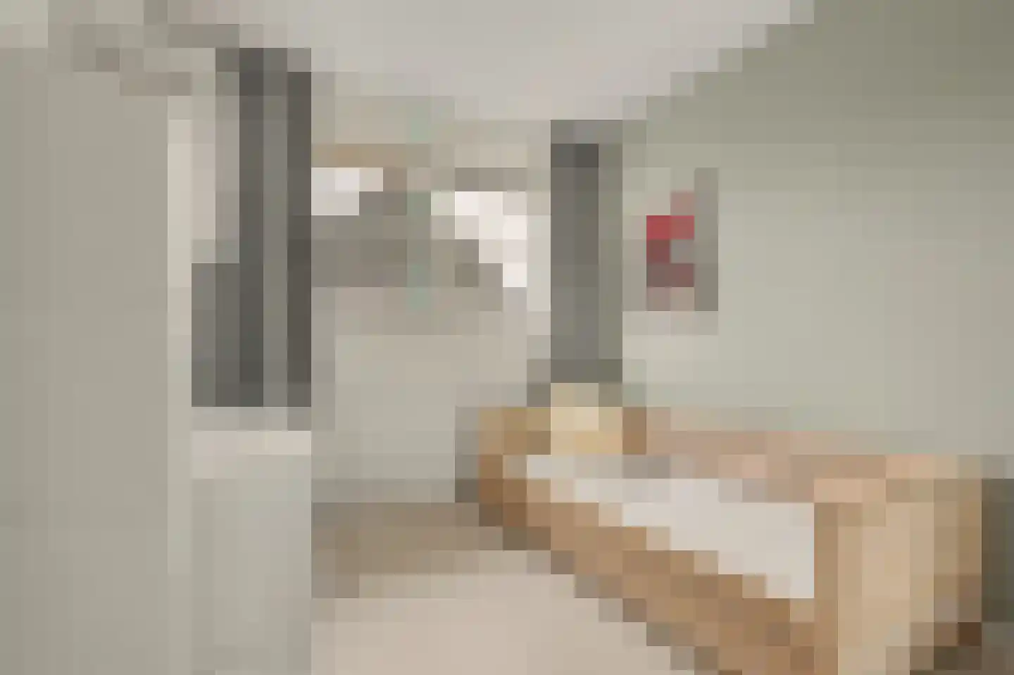 Mesdagstraat 24 Reeuwijk thumbnail 29