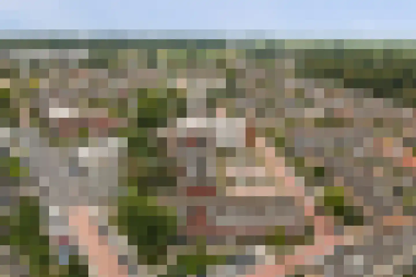 Mesdagstraat 24 Reeuwijk thumbnail 44