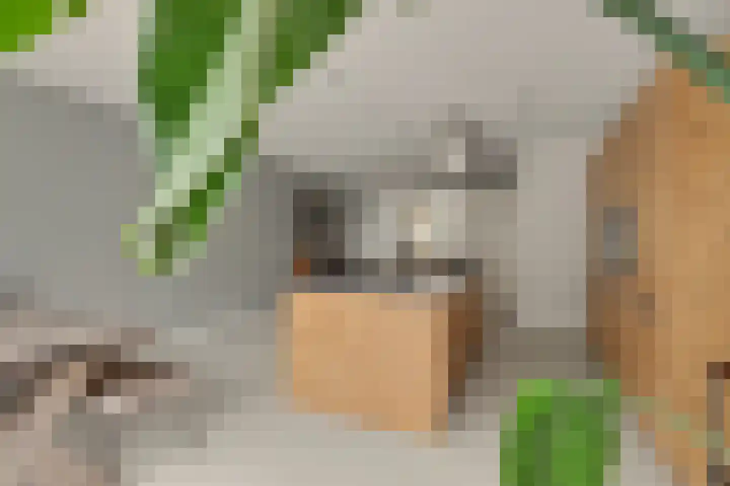 Mesdagstraat 24 Reeuwijk thumbnail 5