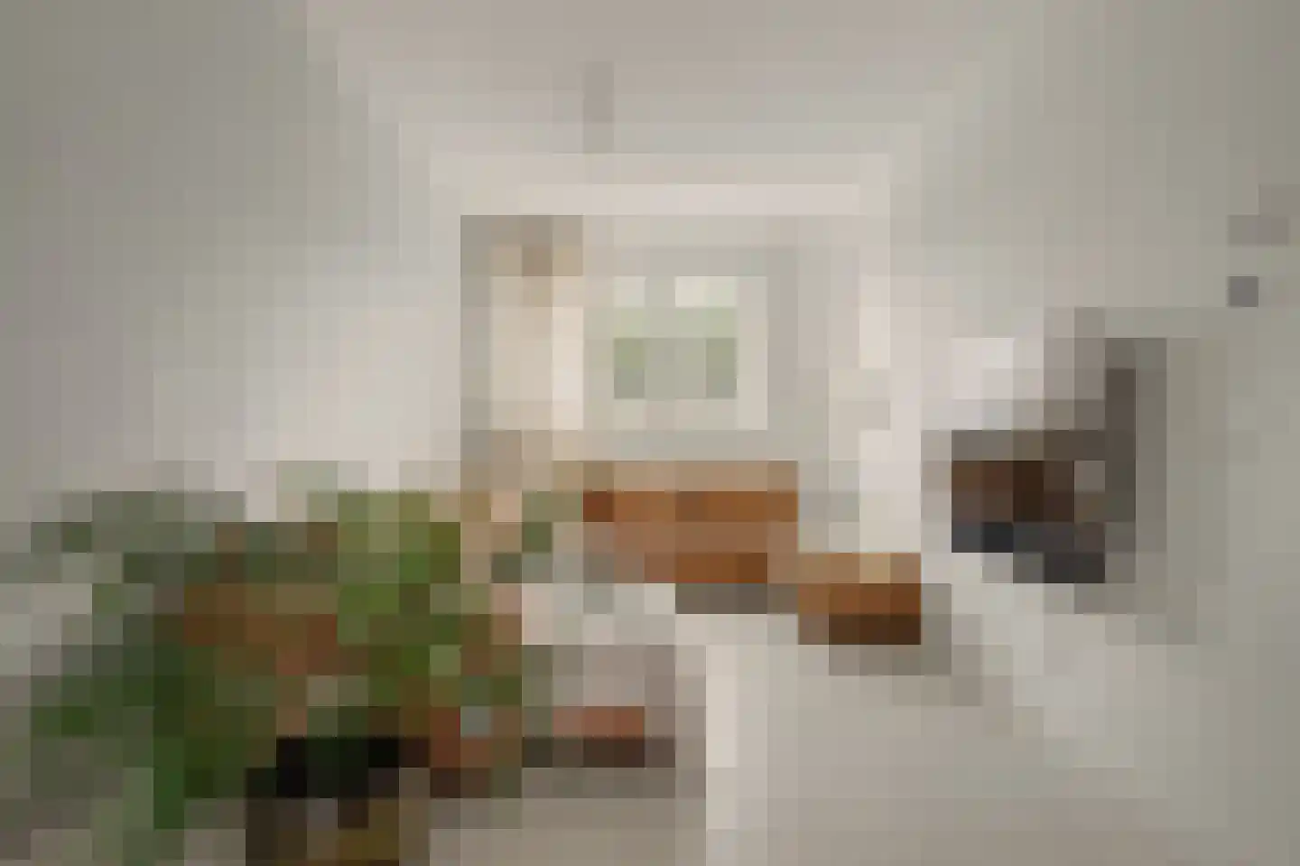 Mesdagstraat 24 Reeuwijk thumbnail 6