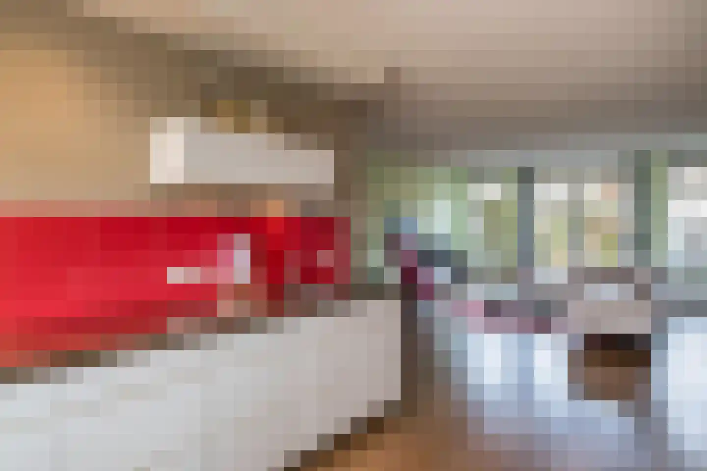 Mesdagstraat 26 Rhoon thumbnail 13