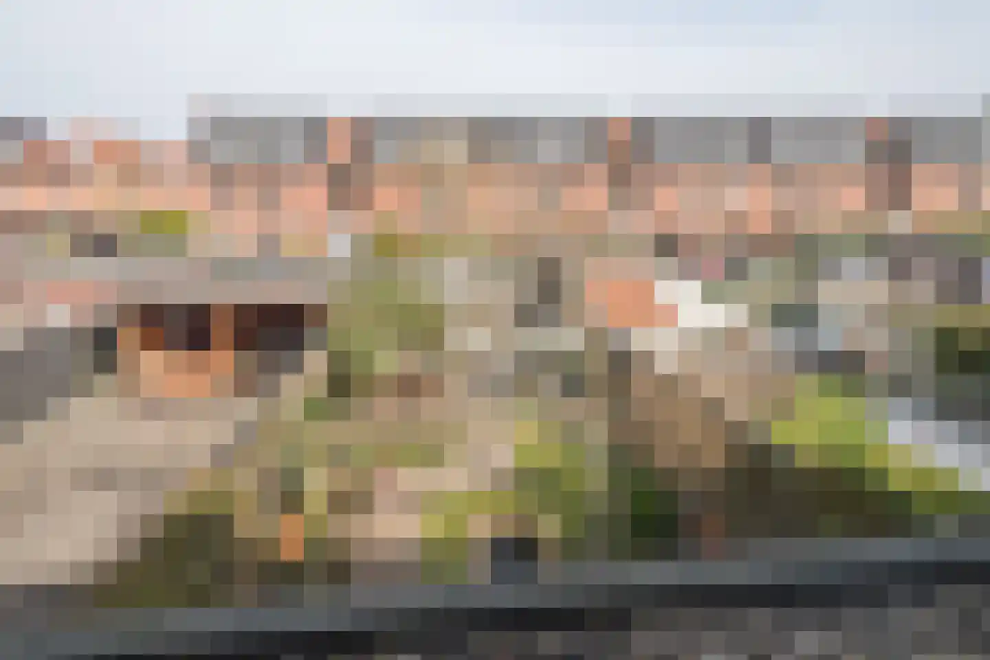 Mesdagstraat 26 Rhoon thumbnail 25