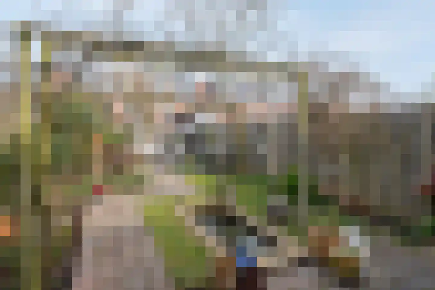 Mesdagstraat 26 Rhoon thumbnail 29