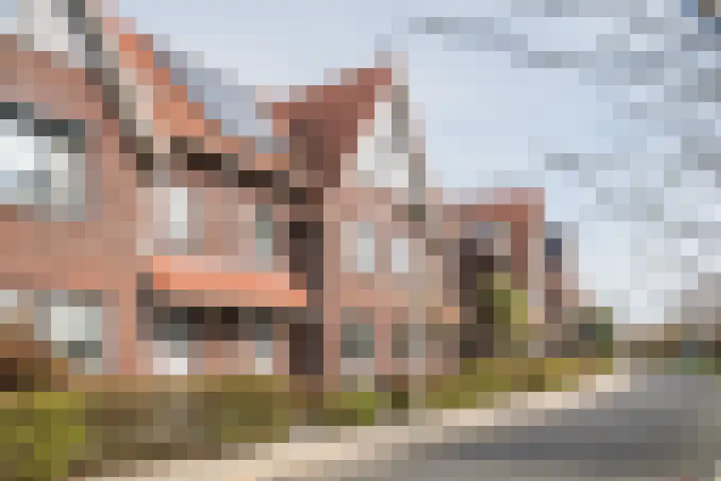 Mesdagstraat 26 Rhoon thumbnail 32