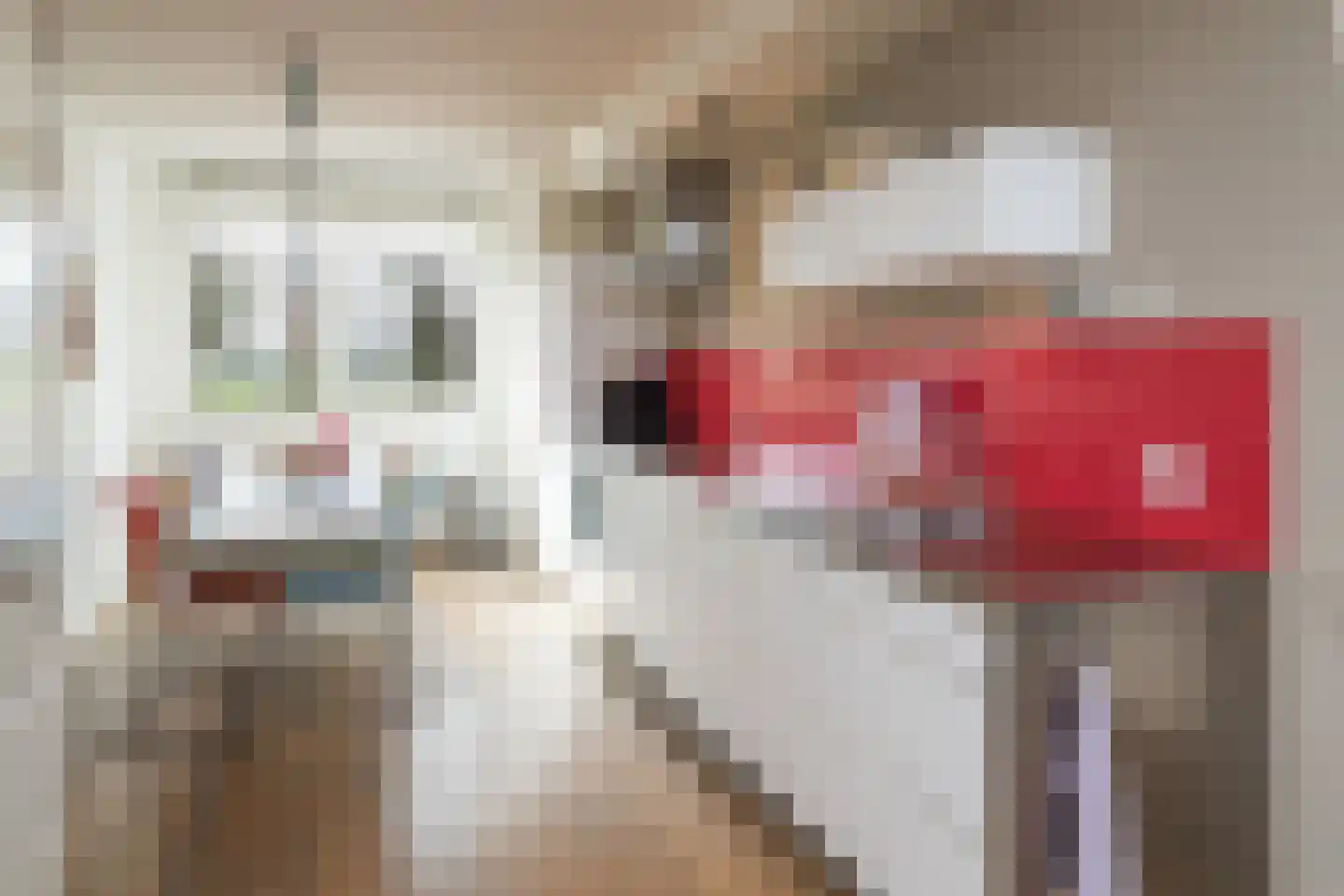 Mesdagstraat 26 Rhoon thumbnail 4