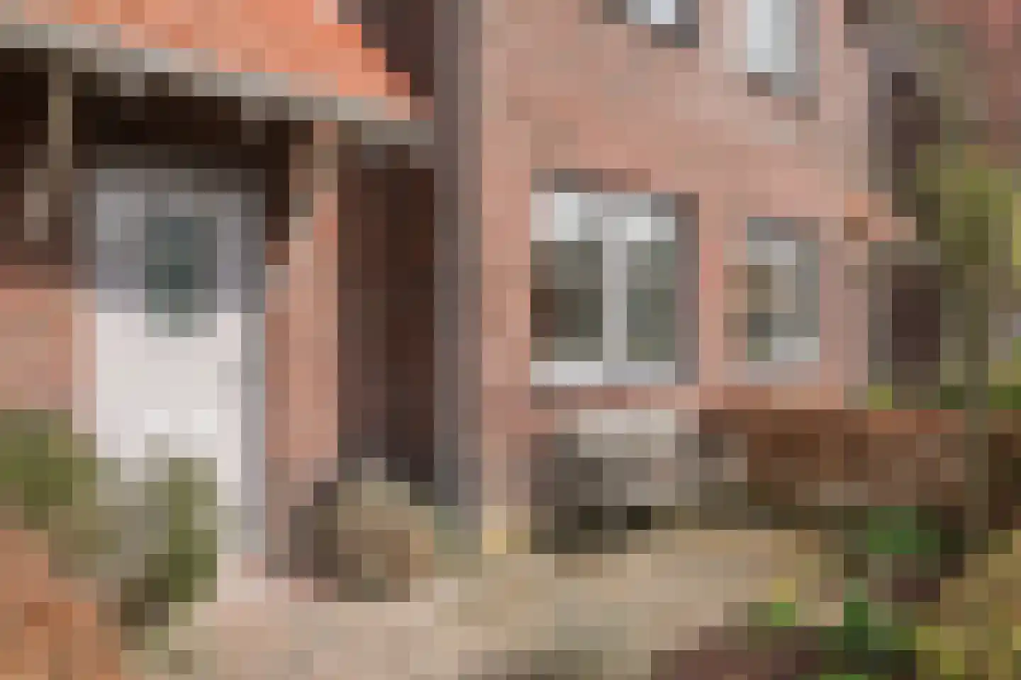 Mesdagstraat 26 Rhoon thumbnail 5