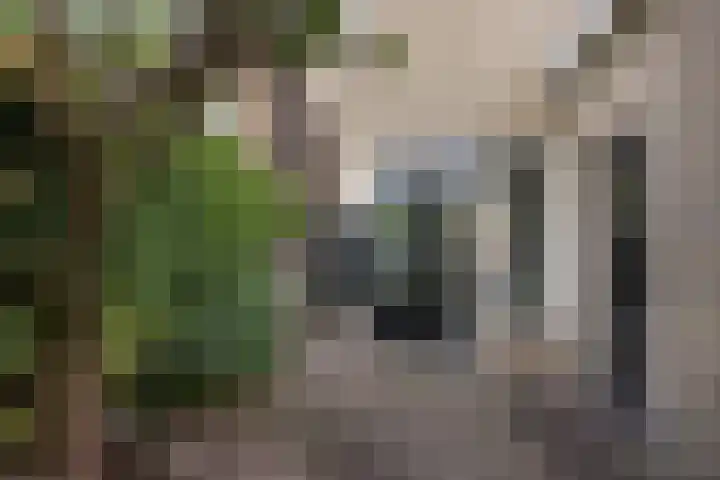 Mesdagstraat 27 Hengelo thumbnail 36