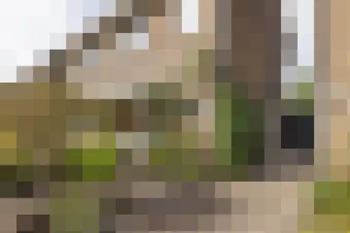 Mesdagstraat 27 Hengelo thumbnail 39