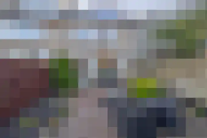 Mesdagstraat 27 Lisse thumbnail 34