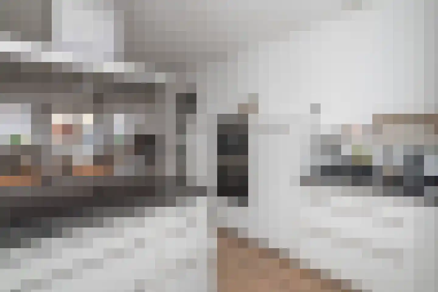 Mesdagstraat 28 Rhoon thumbnail 15