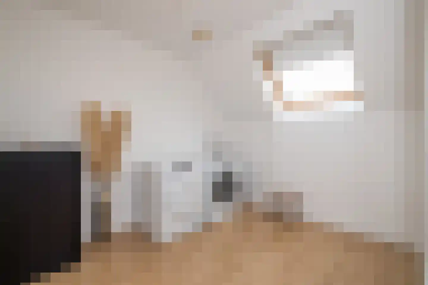 Mesdagstraat 28 Rhoon thumbnail 25