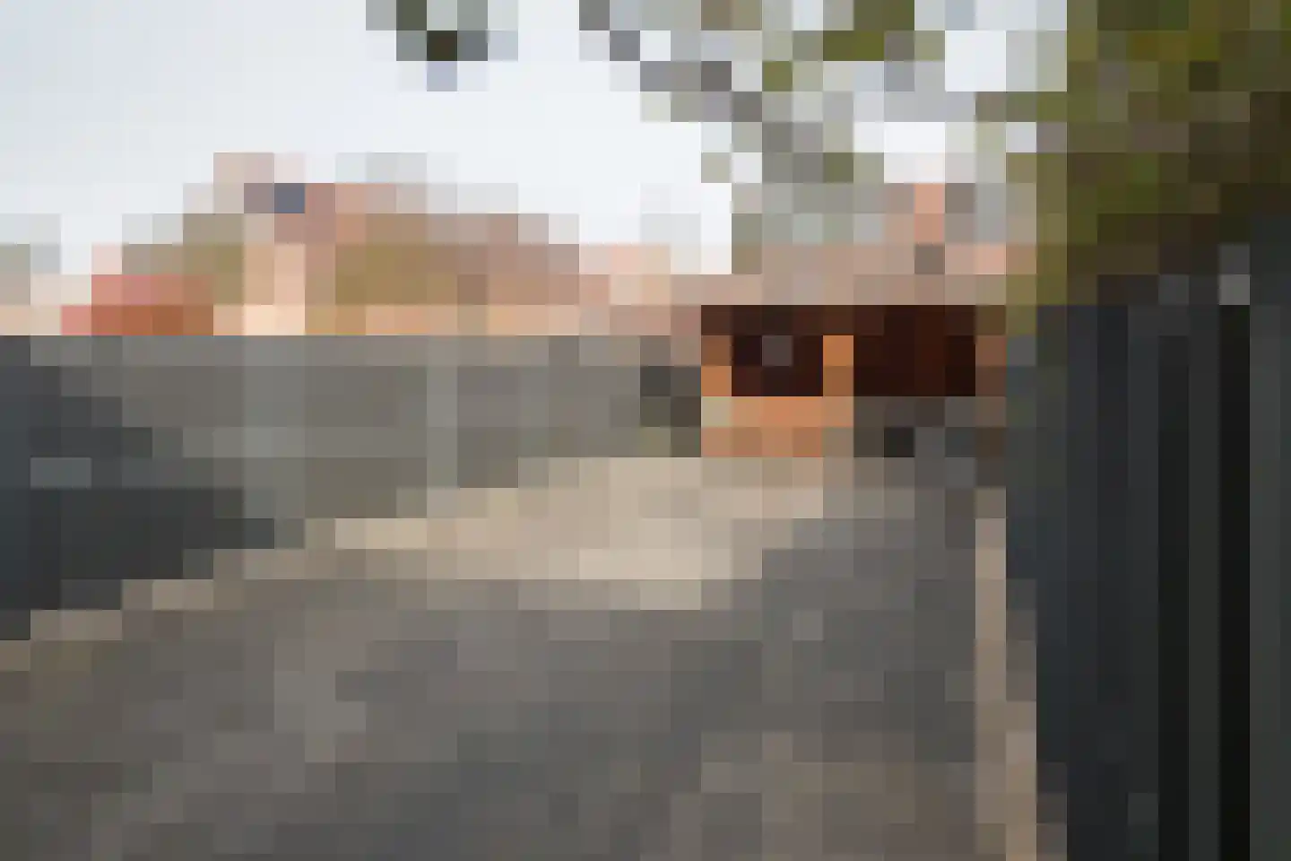 Mesdagstraat 28 Rhoon thumbnail 29