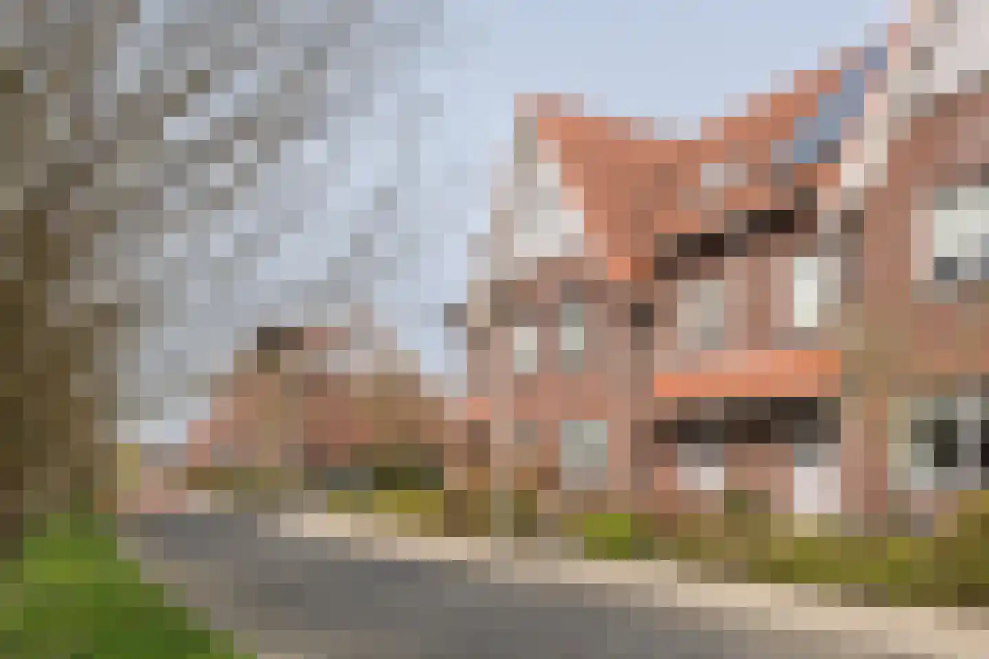 Mesdagstraat 28 Rhoon thumbnail 35