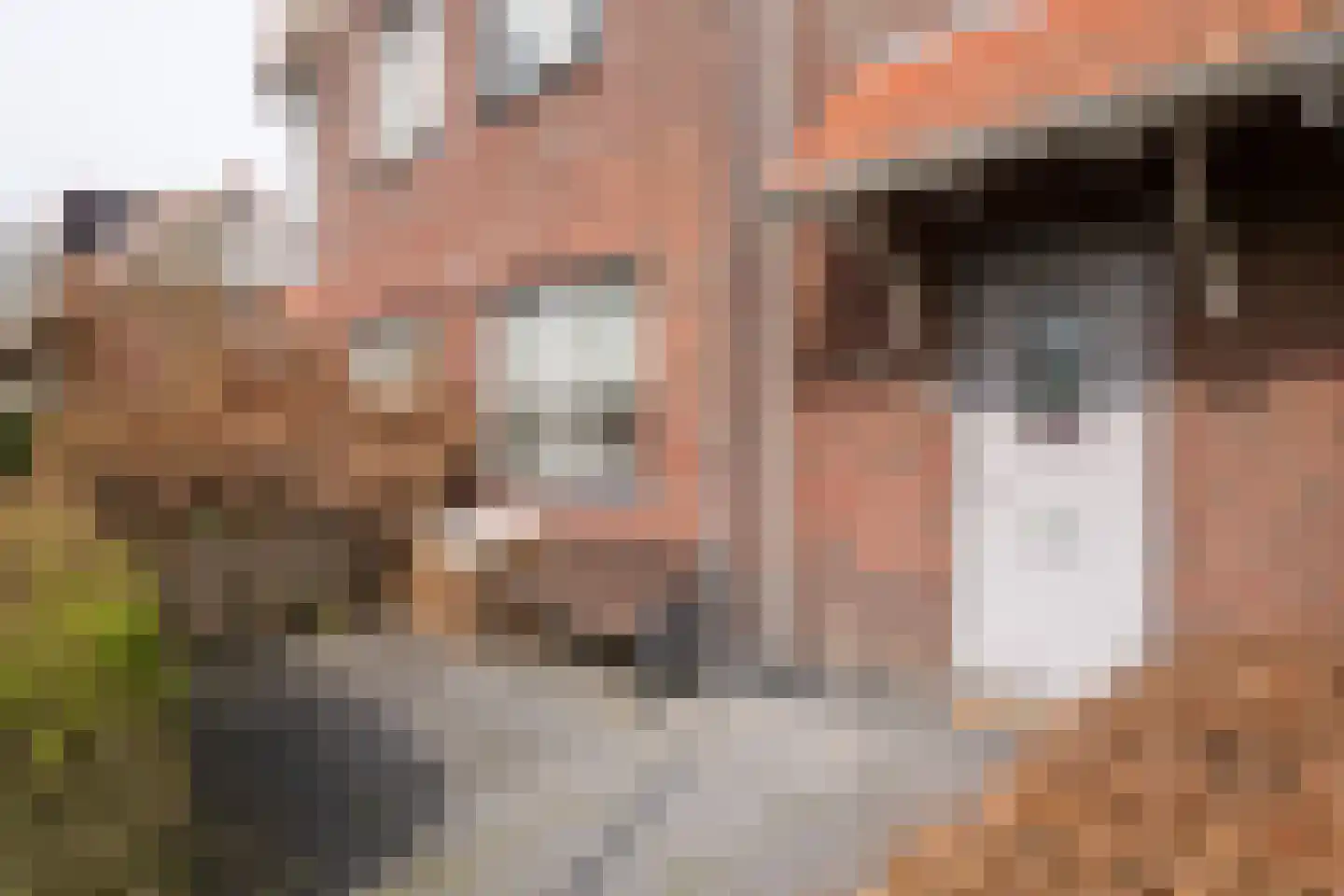 Mesdagstraat 28 Rhoon thumbnail 6