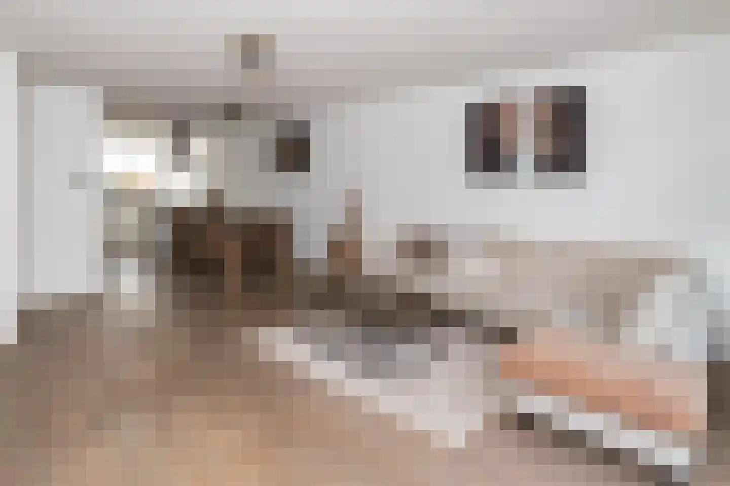 Mesdagstraat 28 Rhoon thumbnail 9