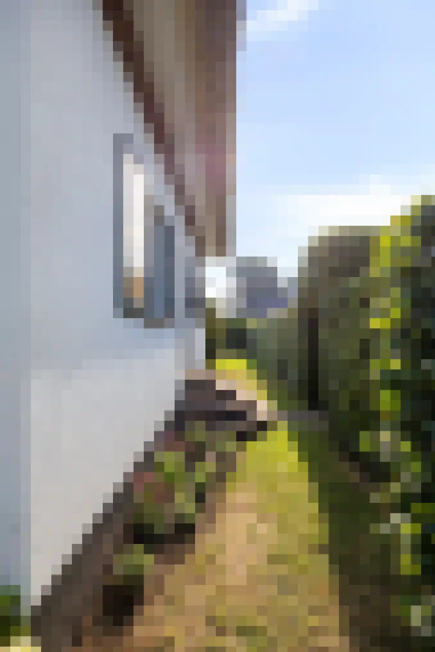 Mesdagstraat 29 Millingen aan de Rijn thumbnail 14