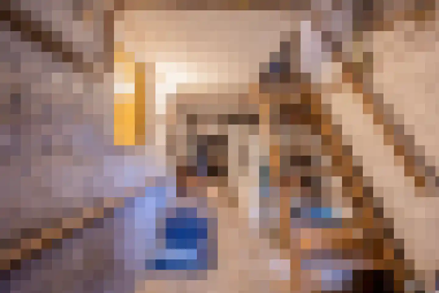 Mesdagstraat 3 Nijmegen thumbnail 48